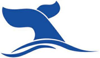 Logo of Dive Pro Diving Gear & Supplies, Hurghada
